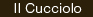 cucciolo
