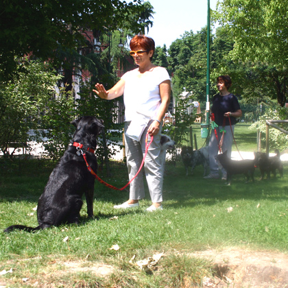 CLICKER TRAINING
