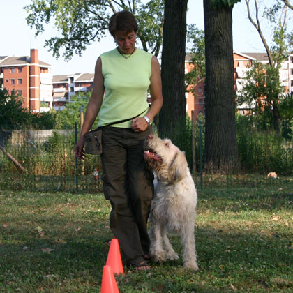 RALLY OBEDIENCE
