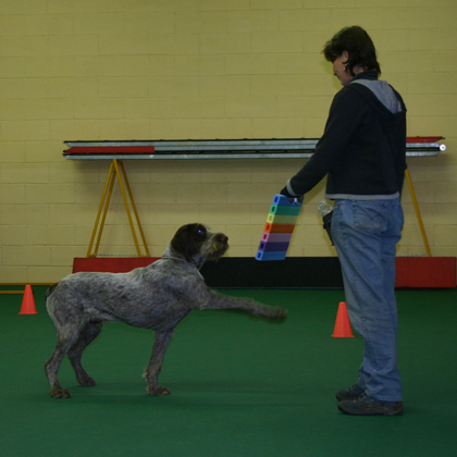 CLICKER TRAINING
