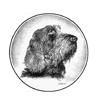 http://www.spinone-italiano.com/