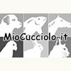http://www.miocucciolo.it/index.html