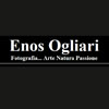http://www.enosogliari.com