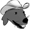 http://www.canissimo.it