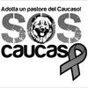 http://www.soscaucaso.it