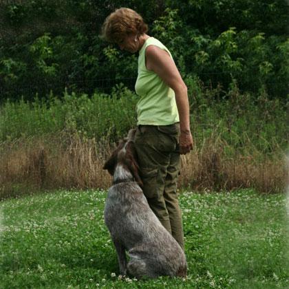 Pluto in posizione base prima della partenza di una gara di Rally Obedience. Ottenere non solo l'attenzione del cane ma
