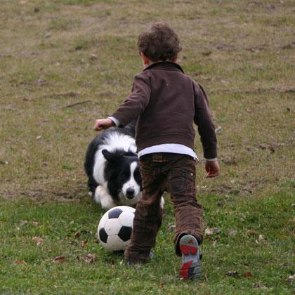Confronto fra giovani atleti con un pallone di cuoio resistente il divertimento è assicurato