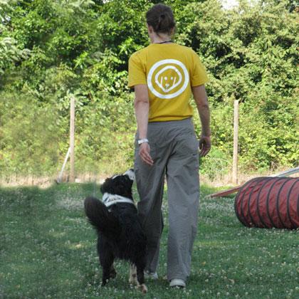 Nella condotta da obedience il cane deve camminare a sinistra del conduttore con la spalla all’altezza del ginocchio sin