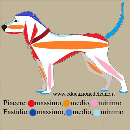 Attraverso le carezze è possibile comunicare con un cane (linguaggio tattile), ci sono zone infatti che se stimolate pro