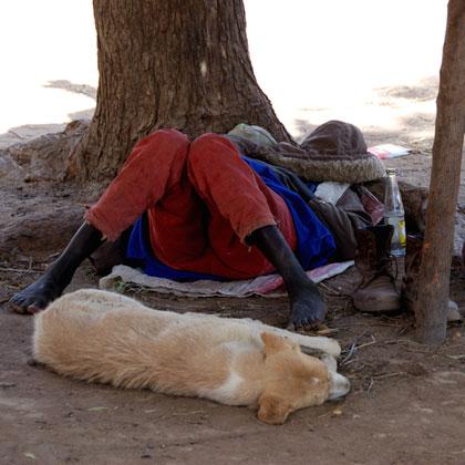 In quasi tutte le culture il rapporto uomo e cane è vissuto come un legame solido ed importante per il benessere e la fe