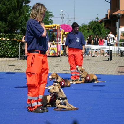 Il Pit Bull ben socializzato ed educato viene impiegato anche dalla Protezione Civile