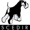 Logo Allevamento di Zwergschnauzer, comunemente detti Schnauzer nani, nero argento