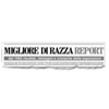 Logo Dal 1992 risultati, immagini e cronache delle esposizioni