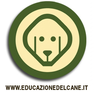 Educazione del Cane