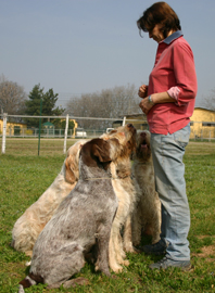 Cristina con i suoi cani